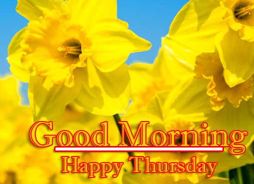 Good Morning Thursday Images Pics Download free 