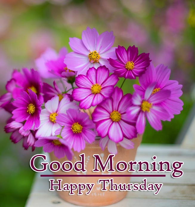 Good Morning Thursday Images Wallpaper Free New Download 