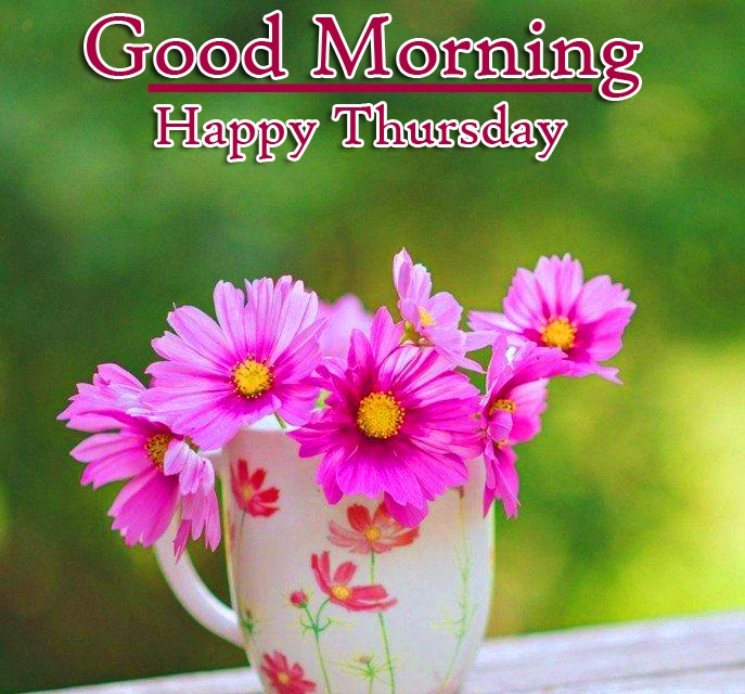 Flower free Good Morning Thursday Images Pics Download 