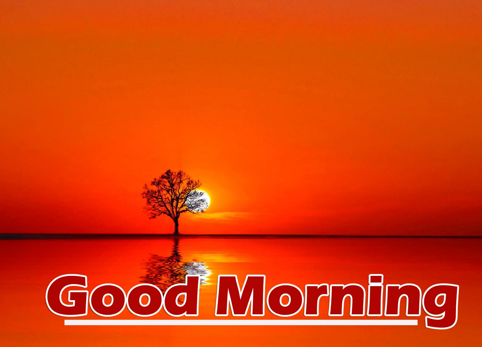 Good Morning Wallpaper Pictures Free Download 