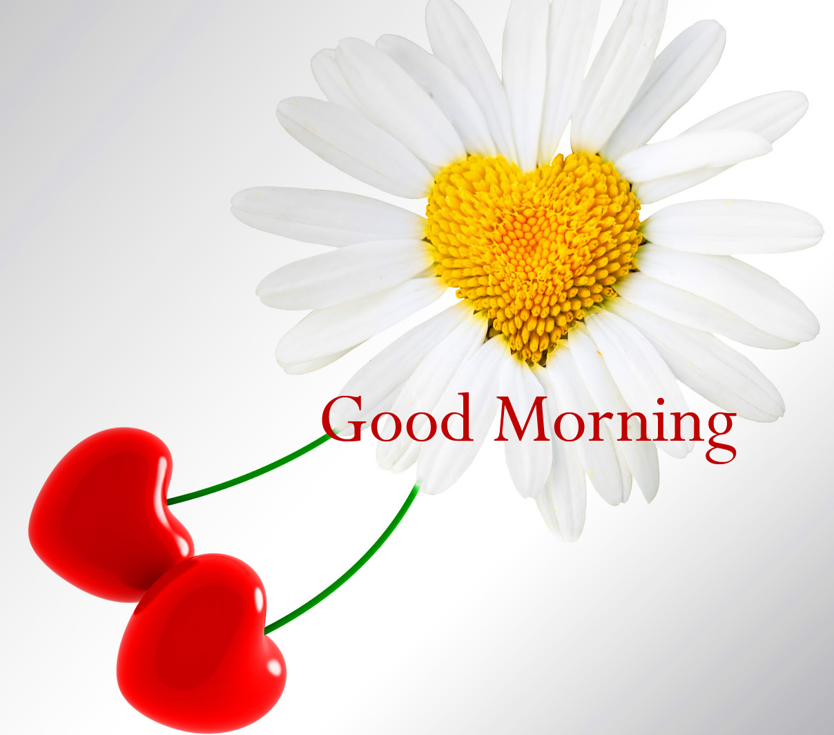 New Free Latest Good Morning Wallpaper Pics Download 