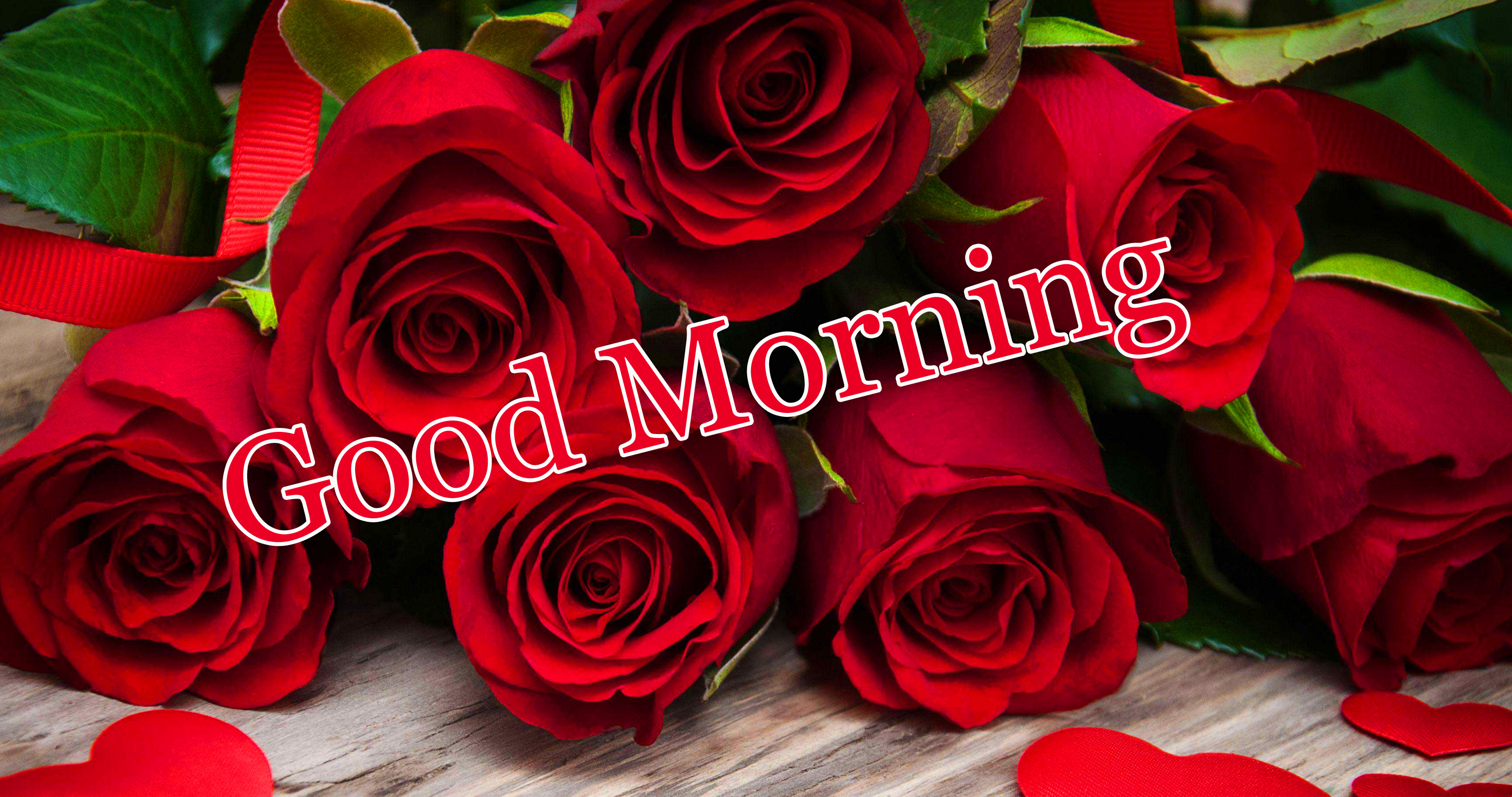 Red Rose free Good Morning Wallpaper Pics Download 