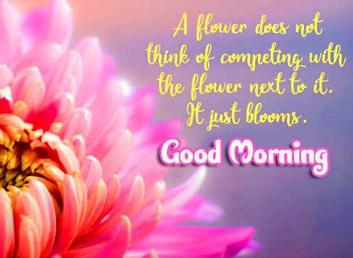 Good Morning Wishes Images with positive thoughts Wallpaper Free Download 