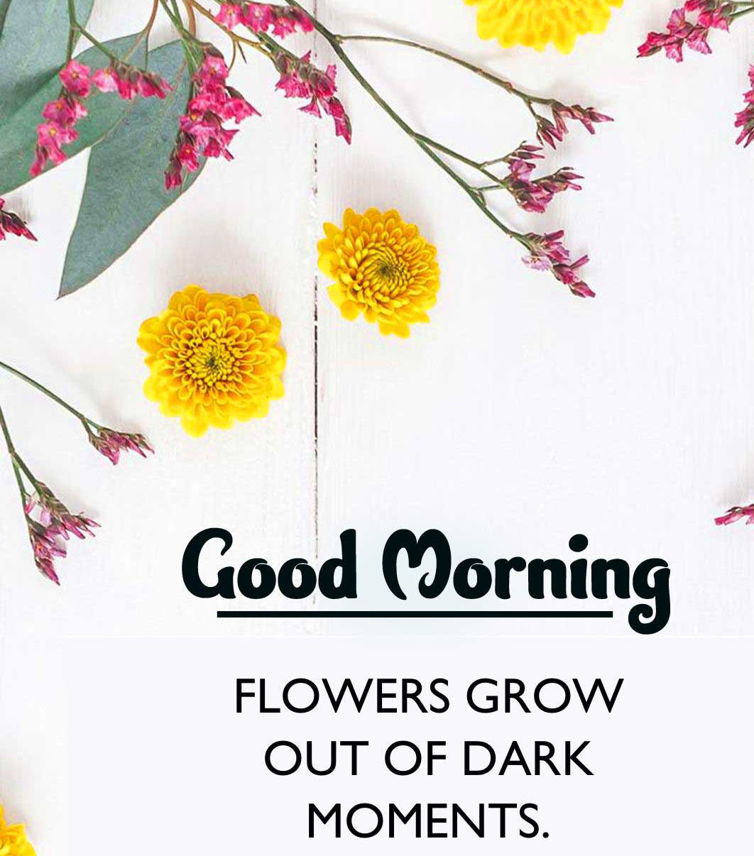 Good Morning Wishes Images with positive thoughts Wallpaper Free Download 
