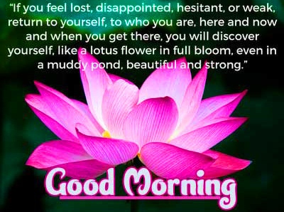 Good Morning Wishes Images with positive thoughts Pics Free Download 