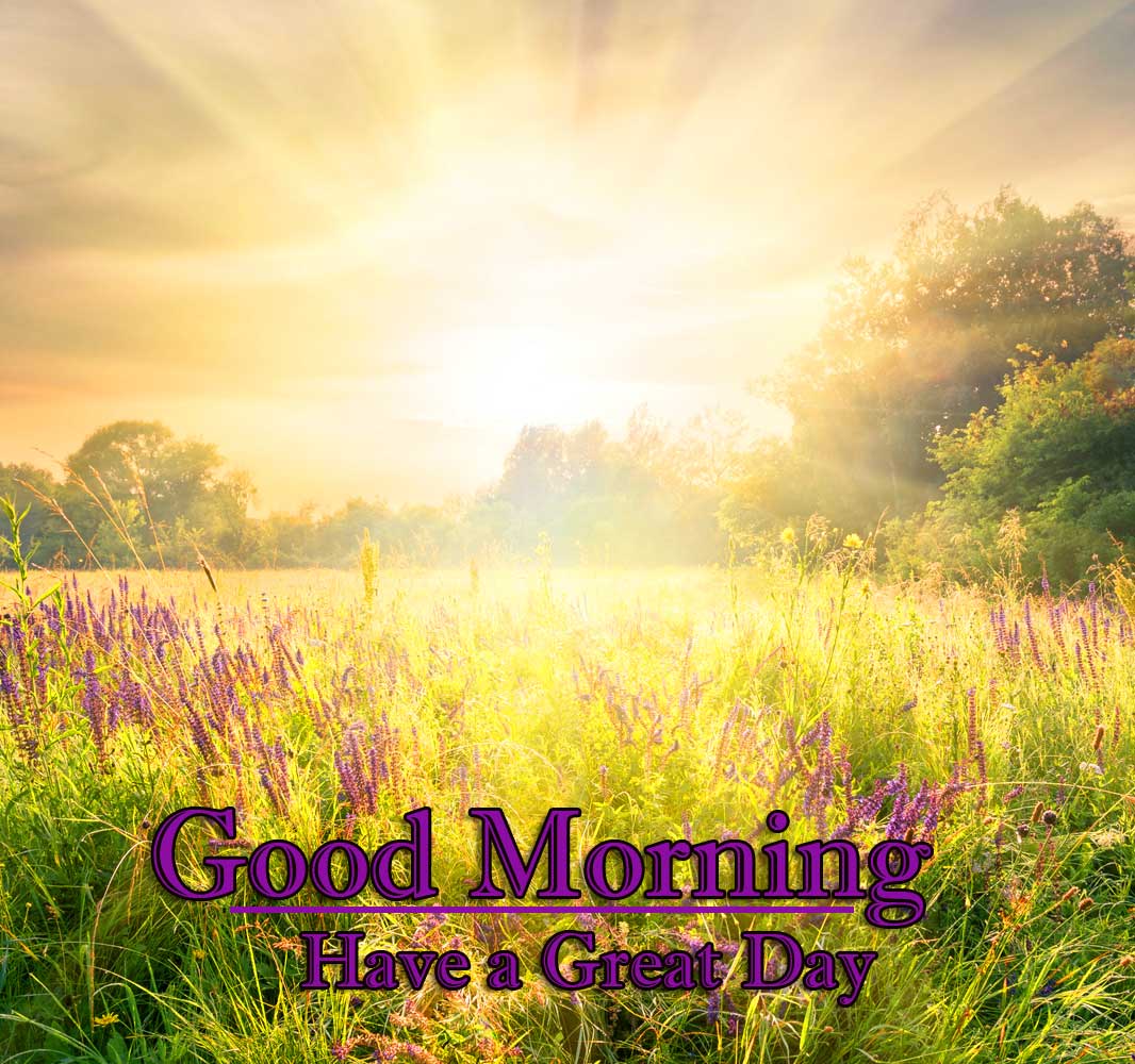 Good Morning Wishes With Sunrise Wallpaper Free for Facebook