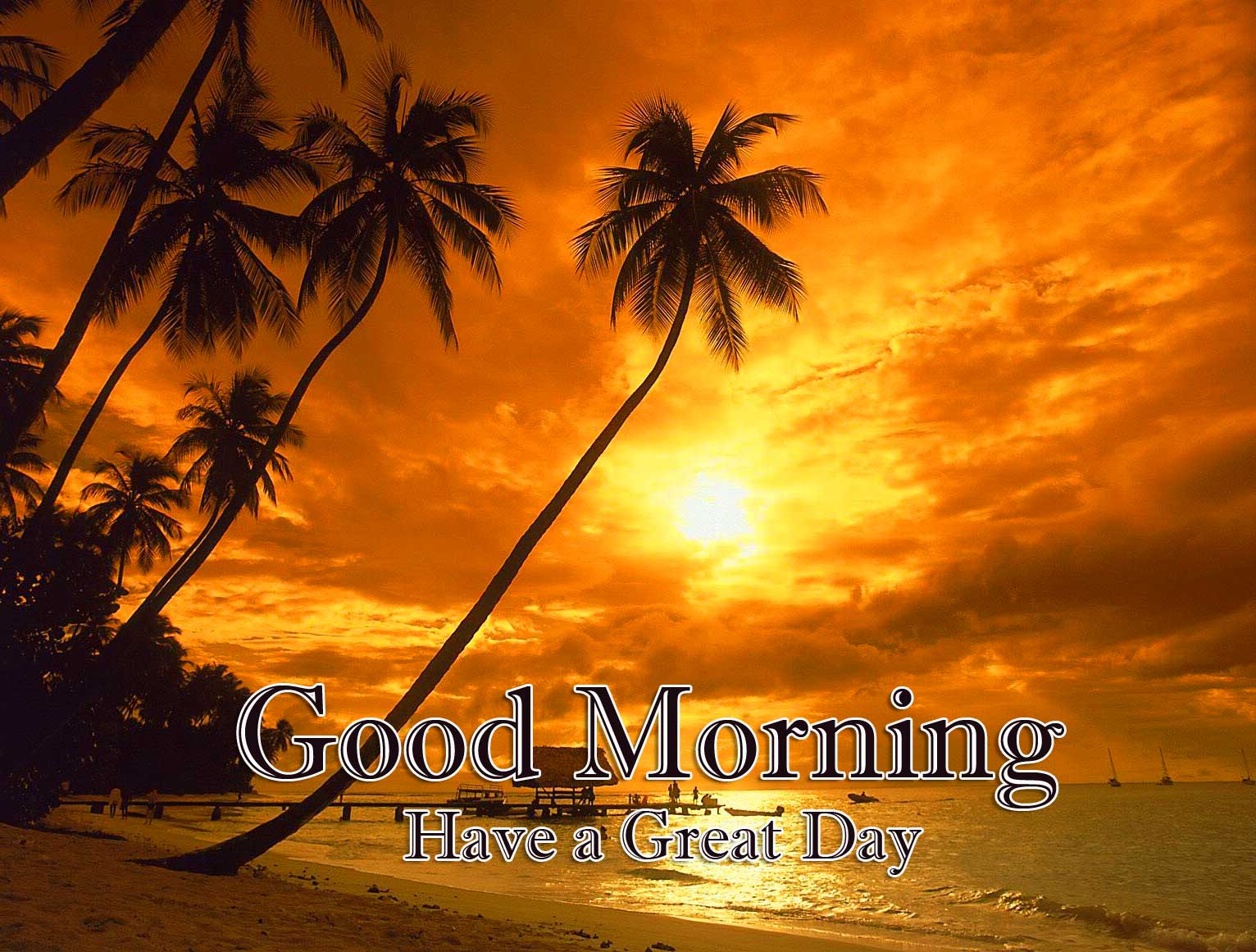 Good Morning Wishes With Sunrise Pics Photo Download 