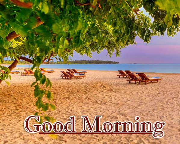 Good Morning Wishes With Sunrise Pics Download Latest 