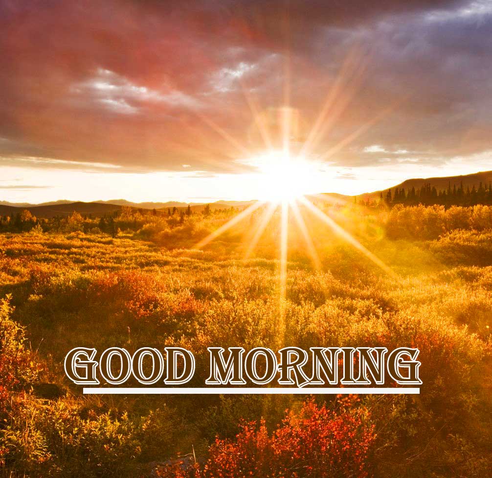 Beautiful Free Good Morning Wishes With Sunrise Photo for facebook