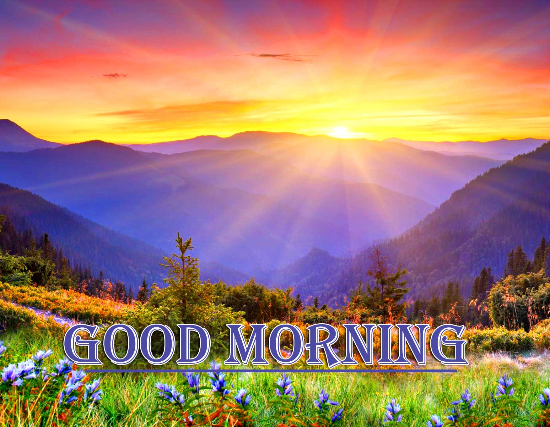 Beautiful Free Good Morning Wishes With Sunrise Pics Wallpaper Download 