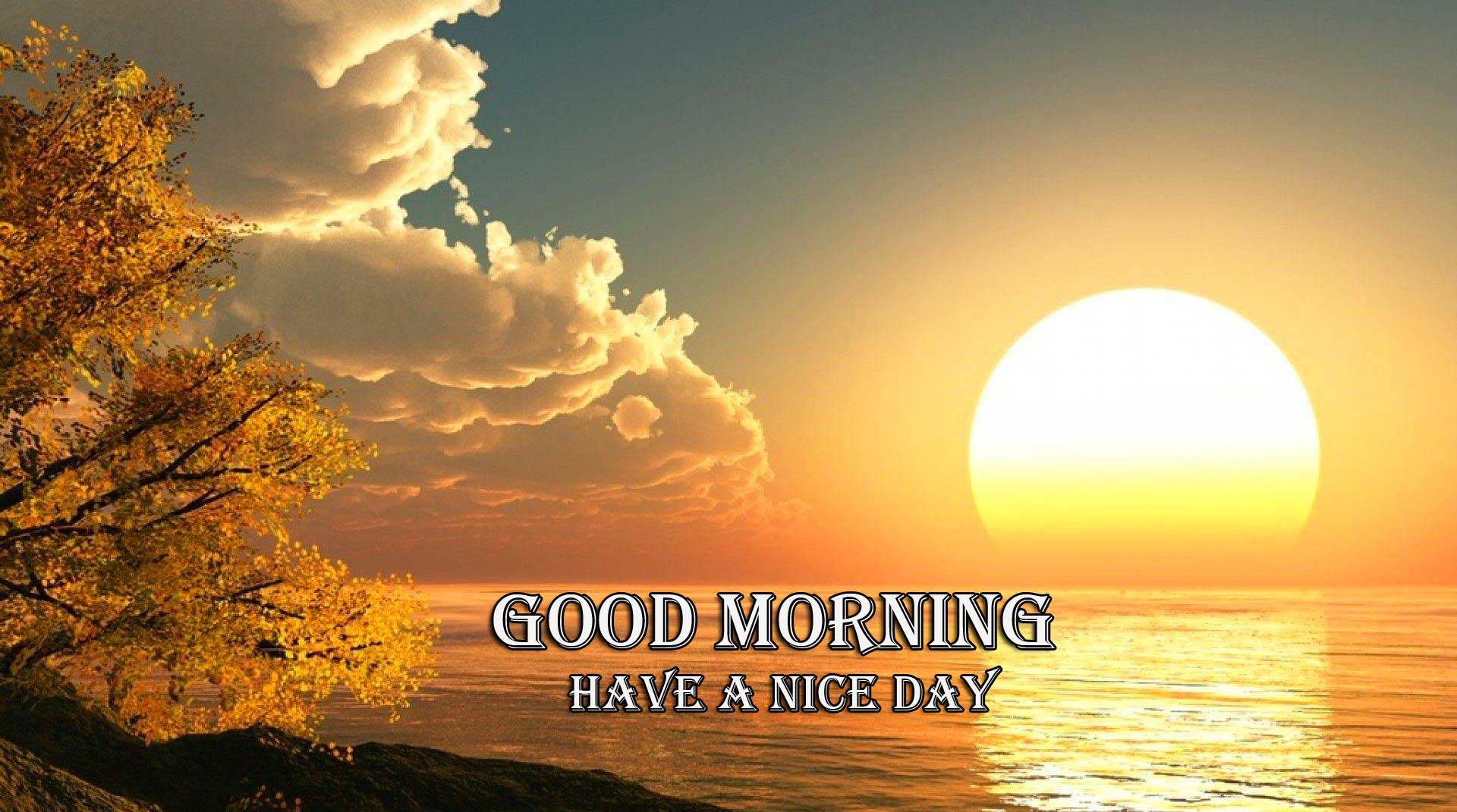 Beautiful Free Good Morning Wishes With Sunrise Pics Wallpaper Free Download 