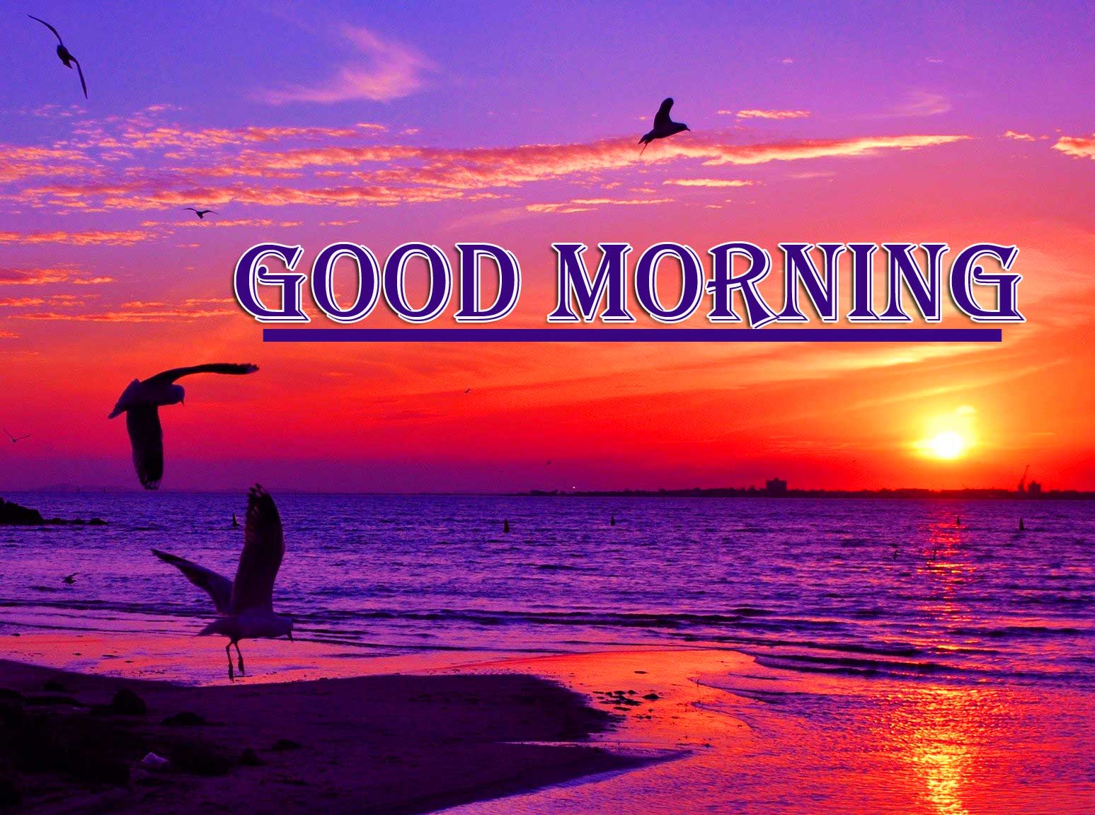 Beautiful Free Good Morning Wishes With Sunrise Pics for Facebook 