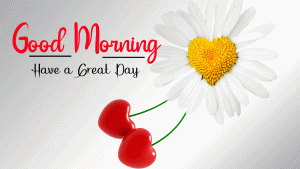 Beautiful Good Morning Images photo download