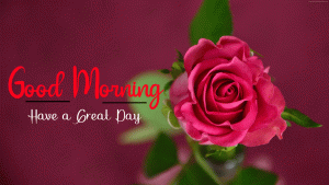 Beautiful Good Morning Images photo for free hd