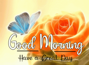 Beautiful Good Morning Images photo for hd
