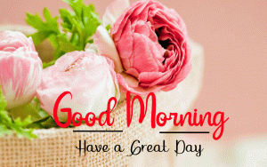 Beautiful Good Morning Images photo free download