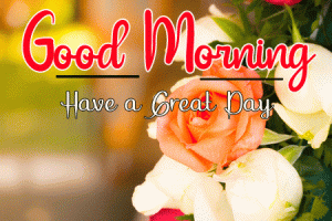 Beautiful Good Morning Images photo pics pictures hd