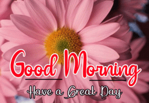 Beautiful Good Morning Images pics for free download