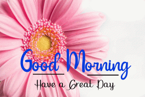 Beautiful Good Morning Images pics for hd