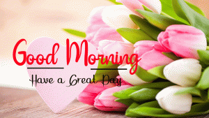 Beautiful Good Morning Images pics free download