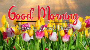 Beautiful Good Morning Images pictures free hd download