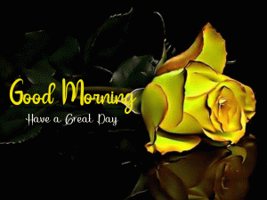 Beautiful Good Morning Images pictures pics free hd download