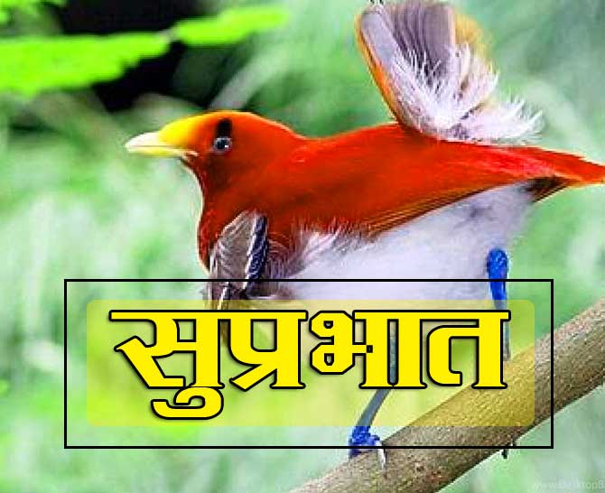Best Suprabhat Download Hd