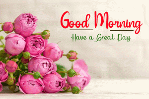 New Beautiful Good Morning Images photo for hd