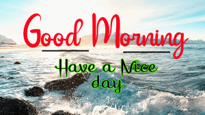 New Beautiful Good Morning Images photo free hd download