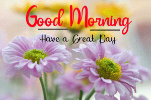 New Beautiful Good Morning Images photo hd download