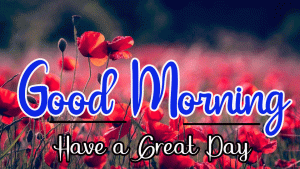 New Beautiful Good Morning Images pictures download