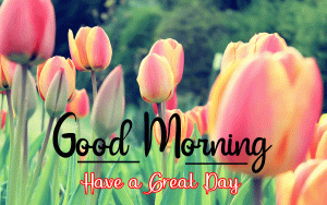 New Beautiful Good Morning Images pictures for download