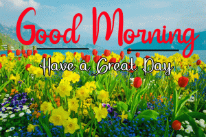 New Beautiful Good Morning Images pictures free download