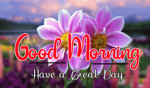 New Beautiful Good Morning Images wallpaper download
