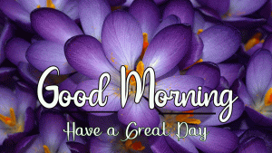 New Beautiful Good Morning Images wallpaper free download