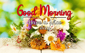 New Beautiful Good Morning Images wallpaper free hd download