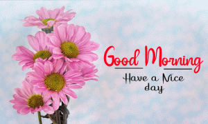 New Beautiful Good Morning Images wallpaper pics for hd