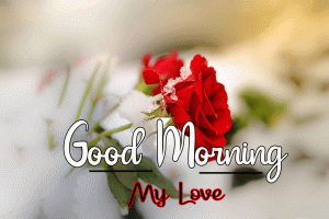 New Beautiful Good Morning Images wallpaper pics photo download