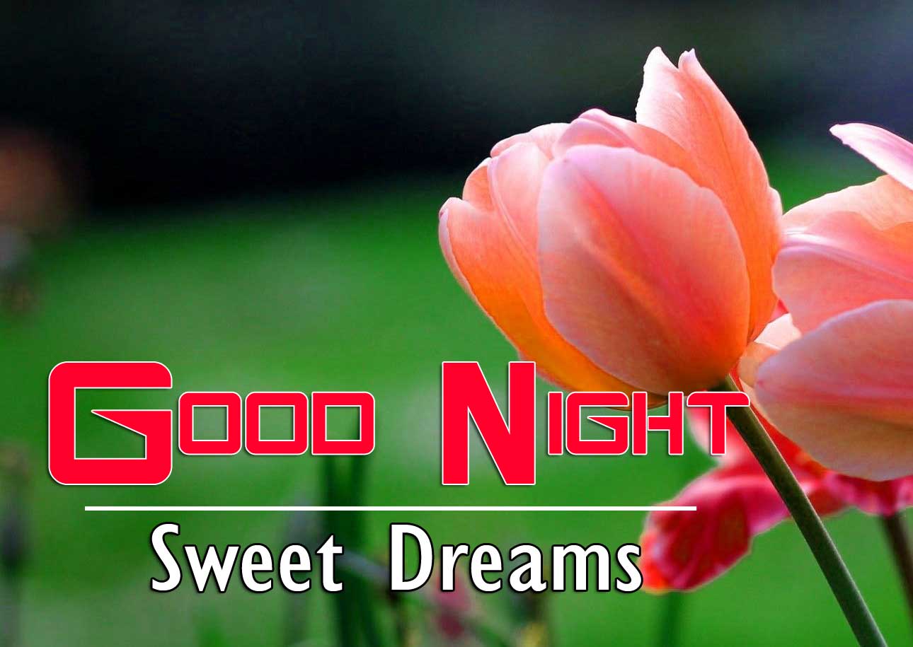 With Flower Good Night Images Pics Download