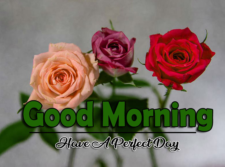 For Har Din { New } Good Morning 4k Full HD Images Download With Flower