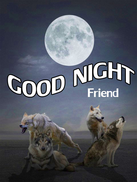 Beautiful New Good Night Images Pics Download