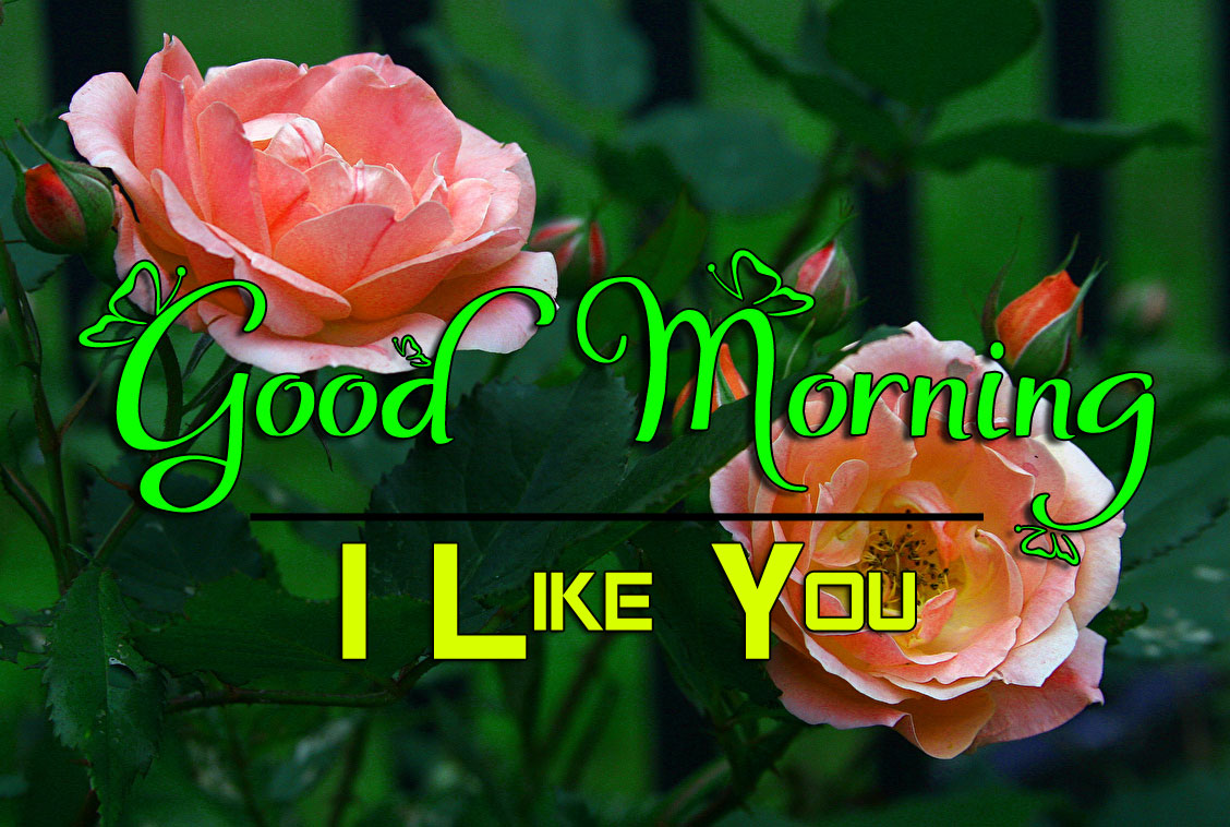 Best HD Good Morning Wishes Photo for Facebook