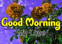 689+ Attractive Fresh Good Morning Images Download