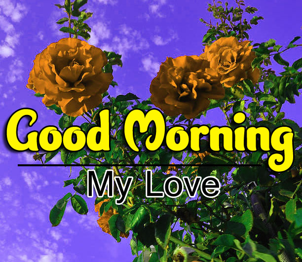 Best HD Good Morning Wishes Pics Images Free