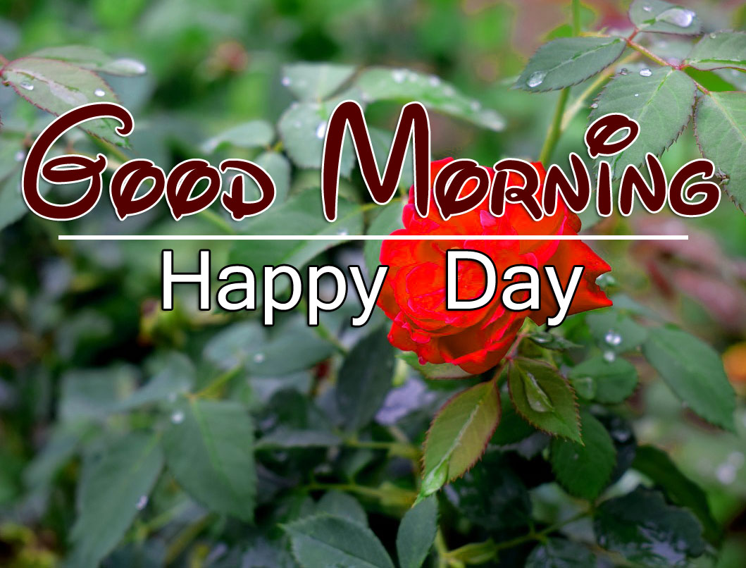 Best HD Good Morning Wishes Wallpaper Photo Pics Download
