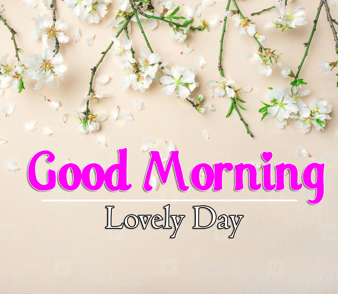 Best Quality Flower 4k Good Morning Pics Images Download