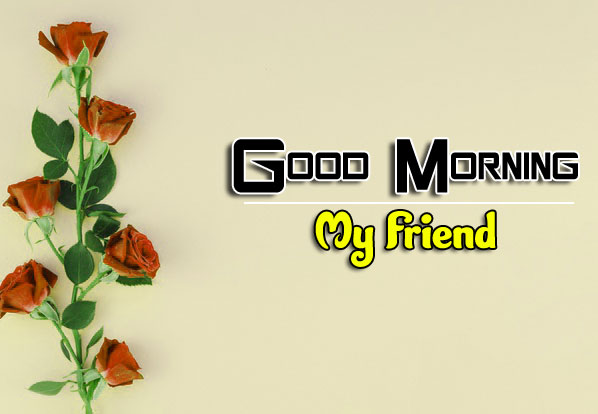 Flower 4k Good Morning Images Download