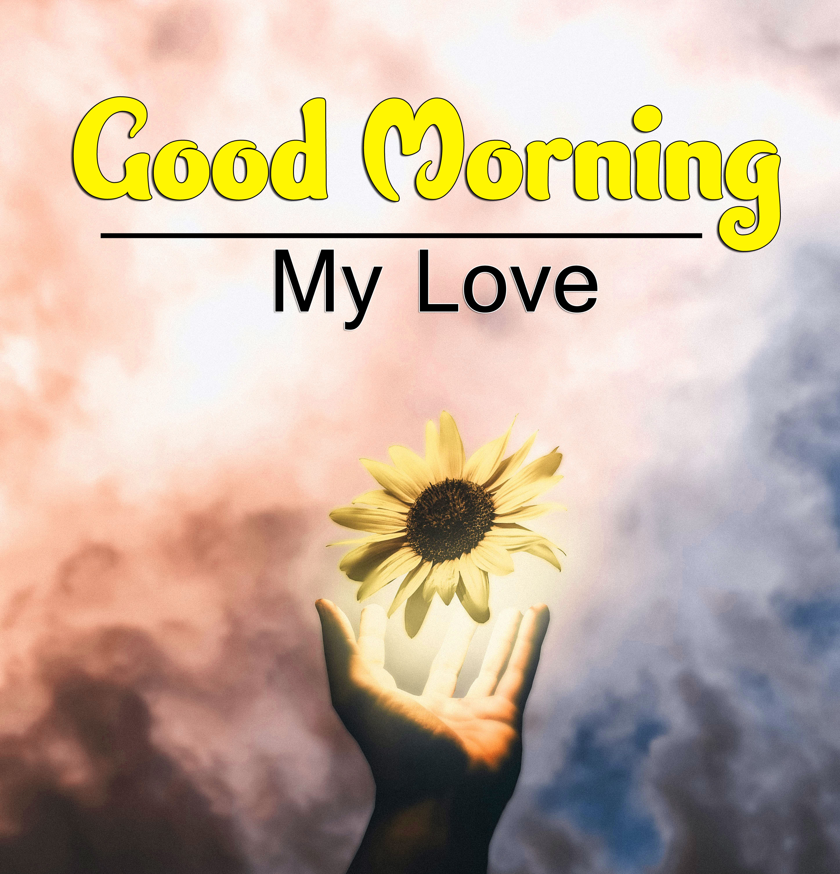 Free Good Morning Wallpaper Download 1
