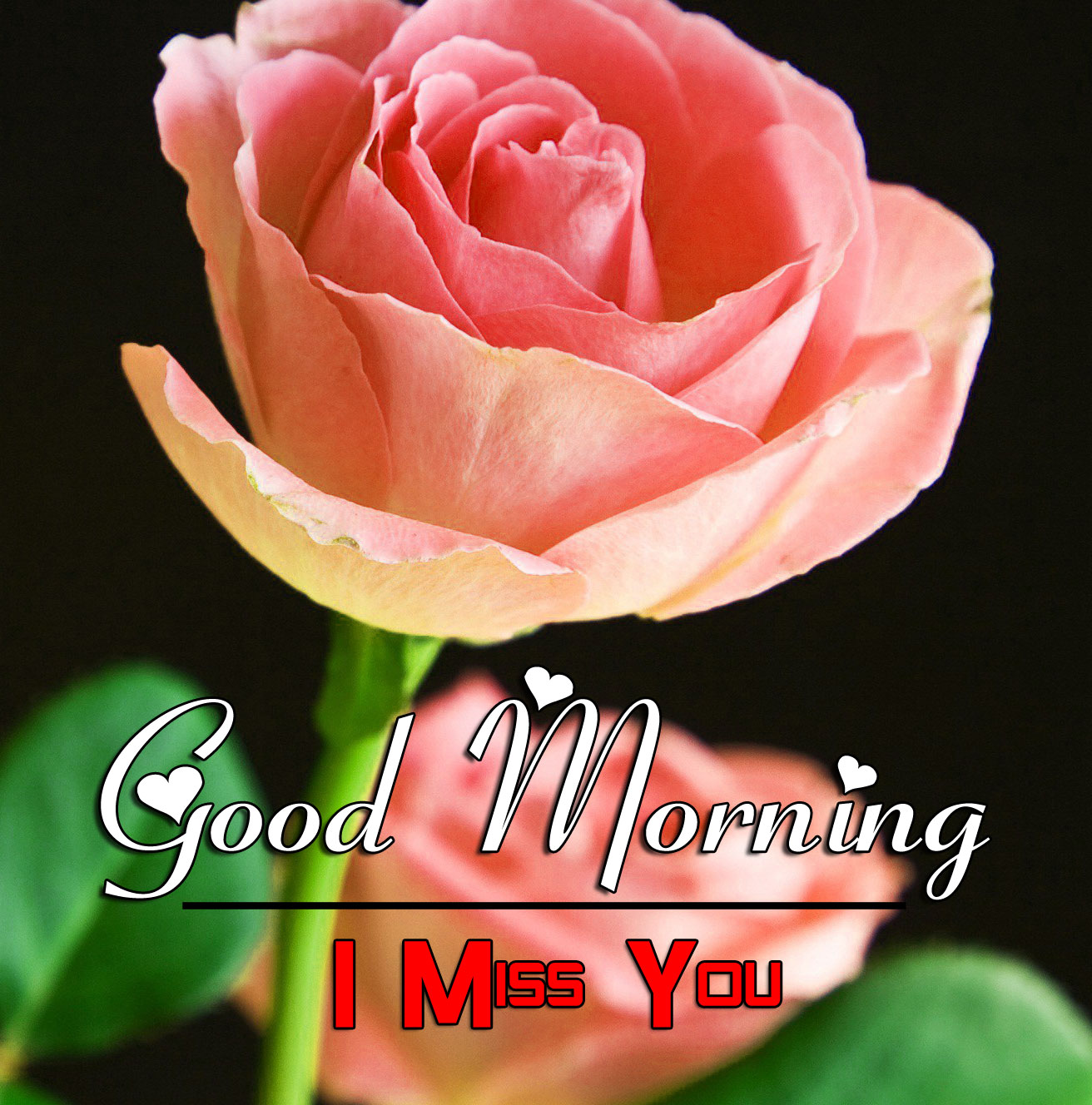 Good Morning Photo New Download