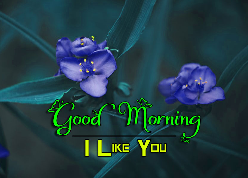 Good Morning Pictures Download 1